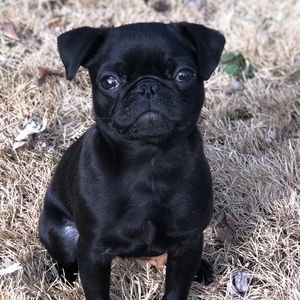 Meet your Posher, Isabel